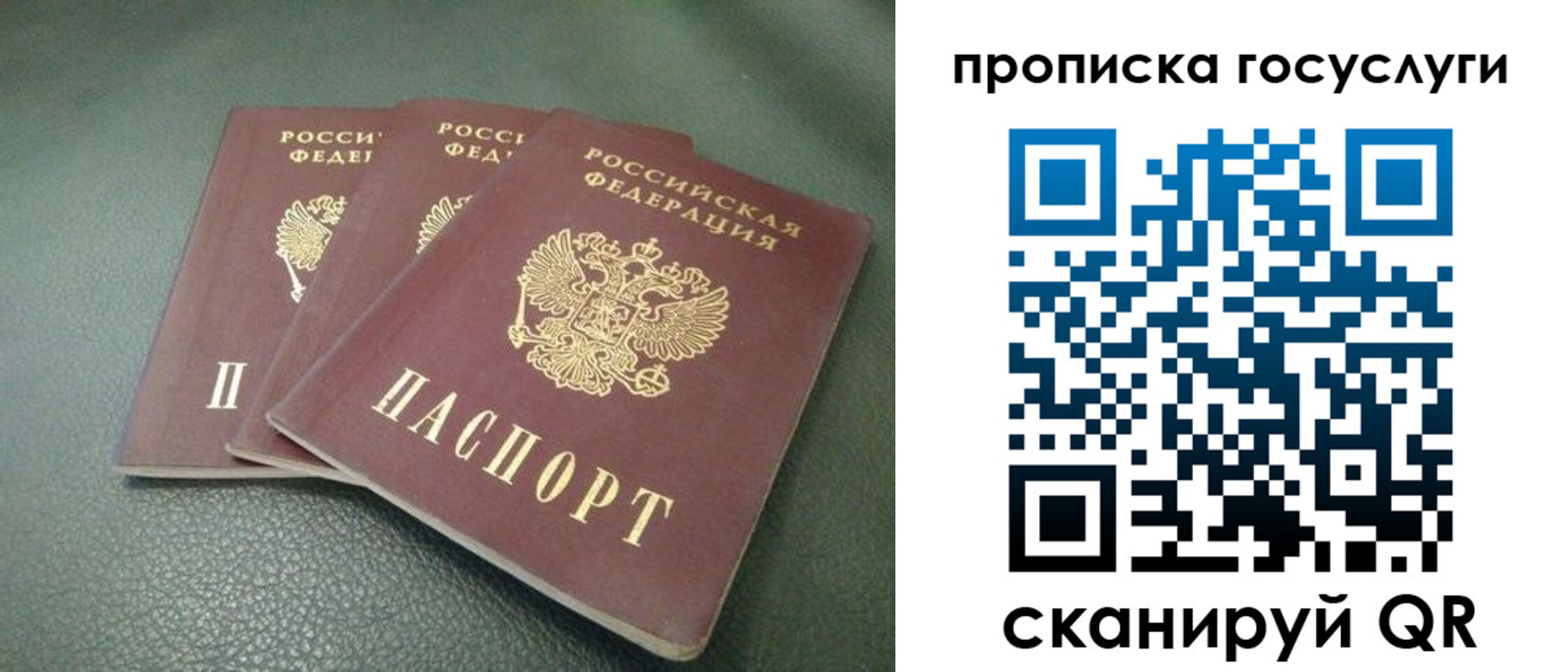 временная регистрация госуслуги в Тверской области